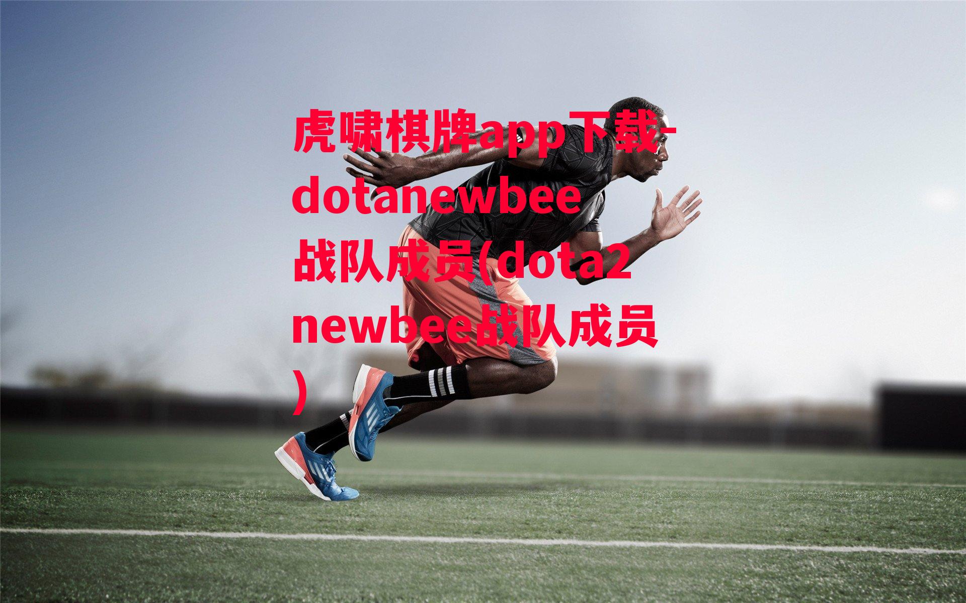 dotanewbee战队成员(dota2newbee战队成员)