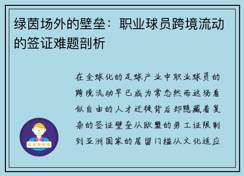 绿茵场外的壁垒：职业球员跨境流动的签证难题剖析